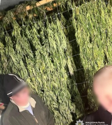 Понад 15 кг канабісу: на Миколаївщині затримали підозрюваного у збуті наркотиків