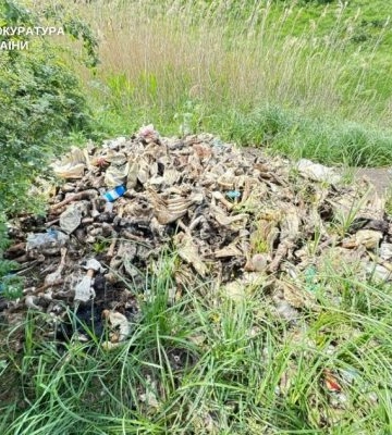 Екологічна катастрофа на Миколаївщині: підприємниця отруїла землі рештками худоби
