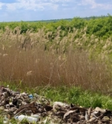 У Первомайську поліцейські повідомили про підозру підприємниці за забруднення ґрунту