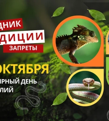 21 октября: какой сегодня праздник, традиции и запреты
