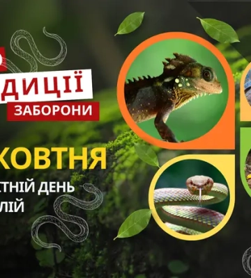 21 жовтня: яке сьогодні свято, традиції та заборони