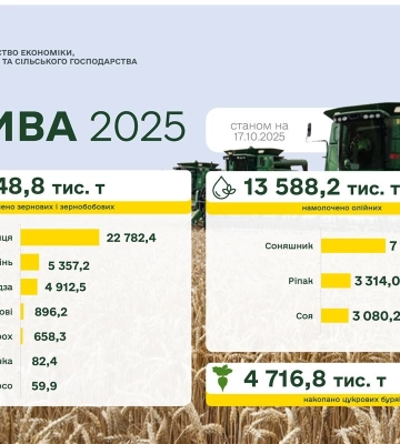 Жнива 2025: зібрано майже 35 млн тонн зернових та зернобобових та понад 13 млн тонн олійних культур