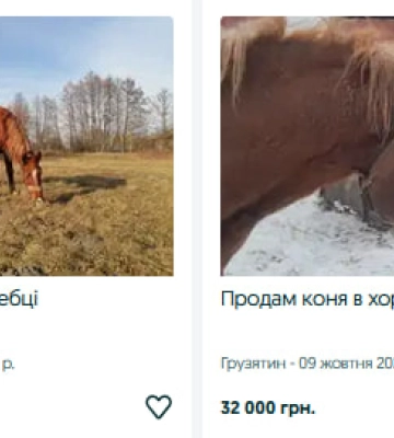 Скільки коштують коні та лошата на Волині?