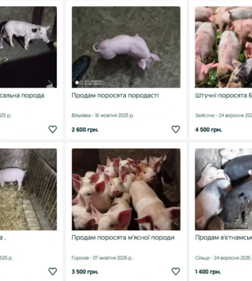 На Волині за пів мільйона євро продають завод