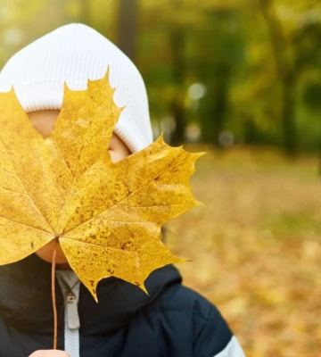 Температура сягне +17°: на Львівщині прогнозують потепління