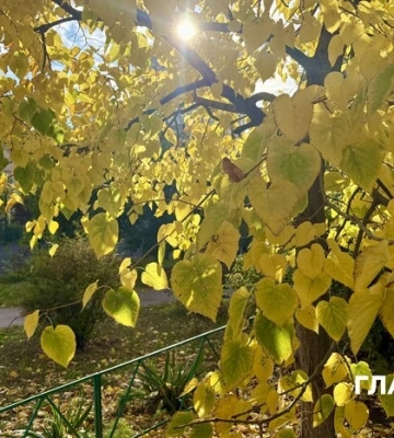 Погода в Украине на 22 октября: потепление с юга, переменная облачность и предупреждение о заморозках