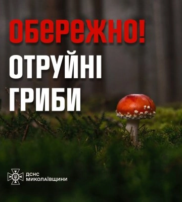 Отруєння смаженими грибами отримав 14-річний підліток на Миколаївщині
