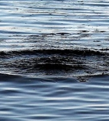 На Волині церковні дзвони пішли під воду – озеро стало святим 
