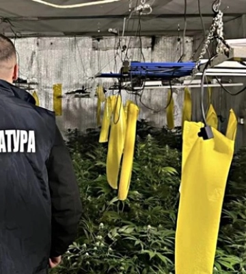 На Львівщині підозрюють п’ятьох чоловіків у збуті канабісу на понад три мільйони гривень