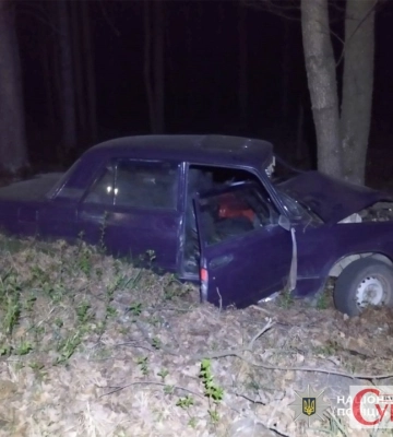 Авто врізалось в дерево і травмувалась дитина: у Малині винесено вирок нетверезій водійці