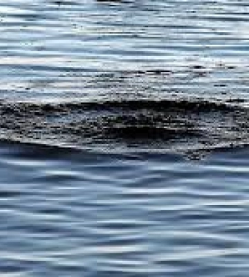 Трагедія на Львівщині: у водоймі виявили загиблого чоловіка