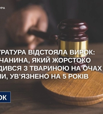 У Вінниці засуджено чоловіка, який жорстоко поводився з твариною на очах у дитини, - прокуратура