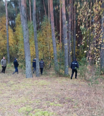 На Волині тривають пошуки зниклої у лісі пенсіонерки