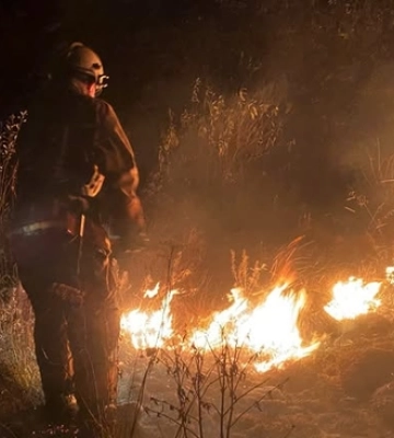 Три пожежі за добу: на Волині горів гектар поля та два будинки 