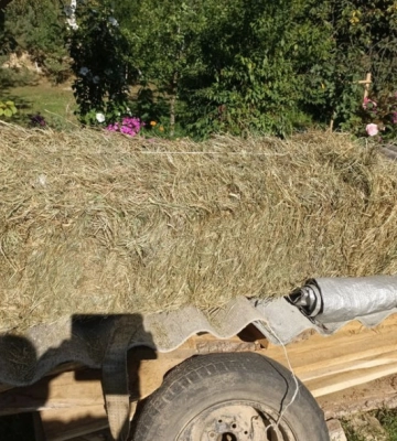 У місті на Волині продають приміщення за 15 мільйонів: ресторан, магазини, офіси