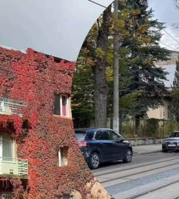 Мало хто знає, але на одній з найкрасивіших вулиць Львова колись були шахти
