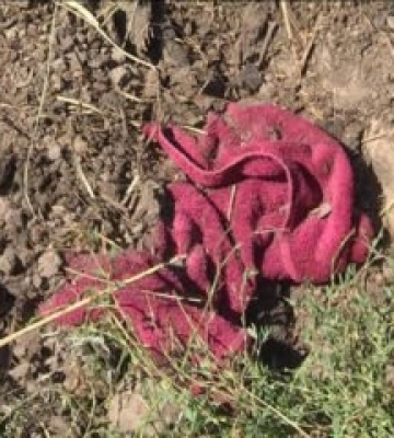 Таємне дітовбивство: жінка викликала пологи і закопала тіло немовляти на подвір'ї