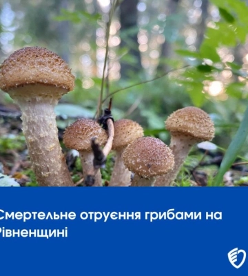 Смертельне отруєння грибами на Рівненщині
