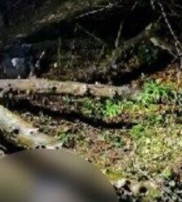 На Полтавщині знайдено тіло чоловіка: поліція з’ясовує обставини смерті