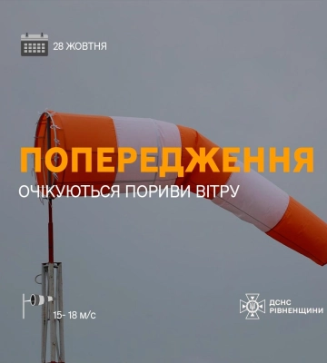 На Рівненщині оголошено жовтий рівень небезпеки через сильний вітер