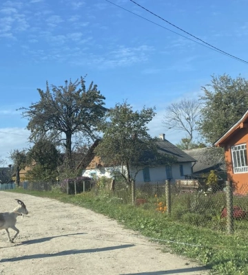 У середу на Львівщині буде прохолодна, вітряна погода
