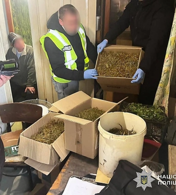 В передмісті Миколаєва поліція вилучила у пенсіонера 15 кілограмів канабісу
