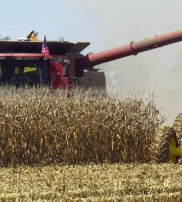 Аграрії Полтавщини завершують збір соняшника та сої