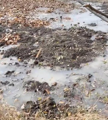 Забудова на старому руслі річки загрожує масовими підтопленнями жителям Басового Кута (ВІДЕО)