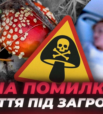 На Дніпропетровщині виявили небезпечний для дерев гриб