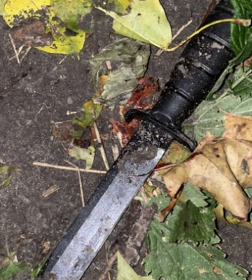 У Києві чоловік зарізав перехожого після суперечки на Замковій горі (ФОТО)