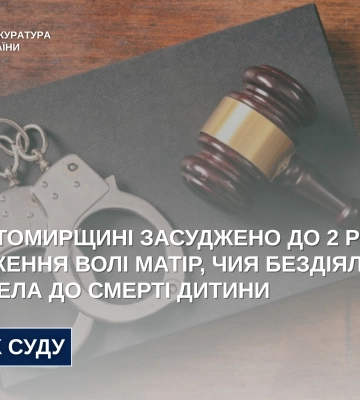 На Житомирщині засуджено матір, через недогляд якої померла ії маленька дитина, - прокуратура