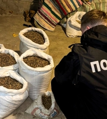 450 кілограмів бурштину на 1,3 мільйона гривень: на Рівненщині оголосили підозру трьом чоловікам
