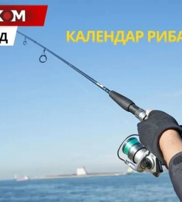 Календарь рыбака на ноябрь 2025 года: когда и на что лучше всего клюет