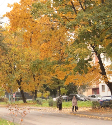 Прямували на виклик: подробиці аварії за участю службового автомобіля поліції охорони у Луцьку