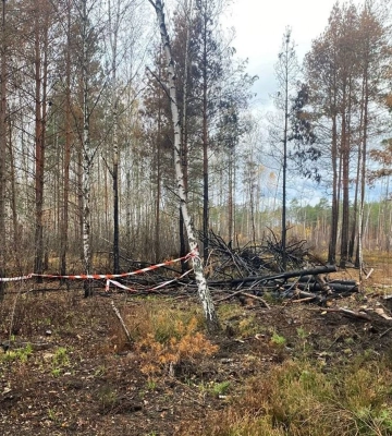 В Житомирской области два автомобиля подорвались на взрывных устройствах, есть погибшие и раненые В Житомирской области два автомобиля подорвались на взрывных устройствах, есть погибшие и раненые