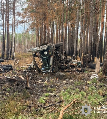 Погода у Житомирській області на вихідних 1 та 2 листопада