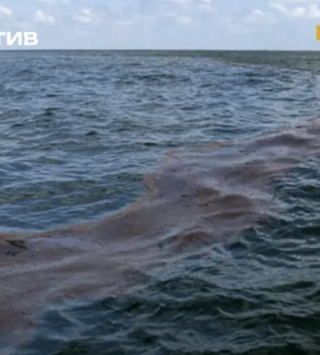 У побережья Крыма зафиксировано свыше 600 выбросов метана: Черному морю угрожает экокатастрофа — ЦНС