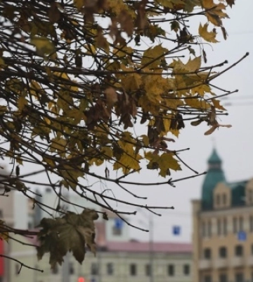 В Україні завтра переважно без опадів, вдень до +25°