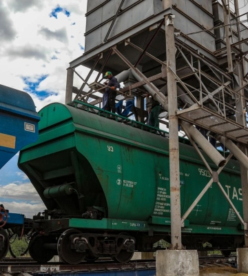 Україна знайшла безпечніший шлях експорту зерна та просить 50% знижки, - Reuters