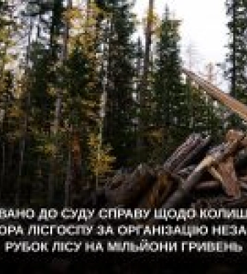 Колишній директор лісгоспу з Львівщини постане перед судом за незаконні рубки