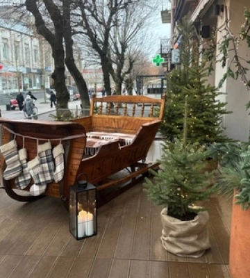 У центрі Луцька оновили фотозону, яку безпритульні тварини вважають своїм домом