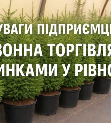 Торгівля ялинками у Рівному: що для цього потрібно, щоб не порушувати закон