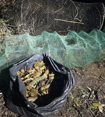 На Черкащині двоє рибалок незаконно ловили раків (ФОТО)