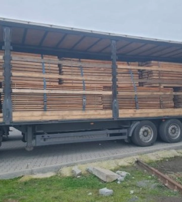 На Закарпатті митники запобігли спробі незаконного експорту пиломатеріалів
