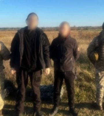 У Луцькому районі «чорні лісоруби» знищили понад сотню дерев