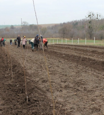 На Волині судили 50-річну колаборантку