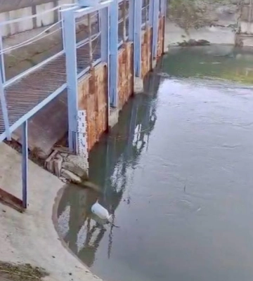 На півдні Одещини водойми знаходяться в критичному стані