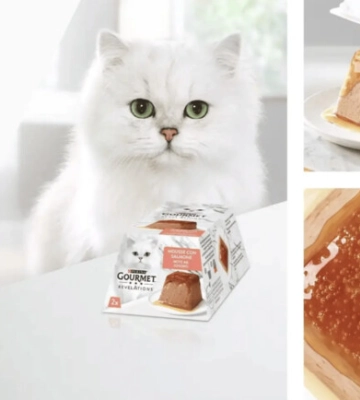 Purina® – експерт у харчуванні домашніх улюбленців