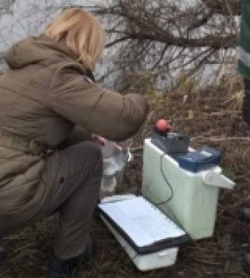 Можливе забруднення річки Случ перевіряють на Рівненщині