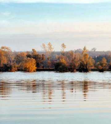 Наскільки катастрофічна ситуація з падінням рівня води у Придунайських озерах: коментар екологів